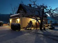 Lužanka noc
